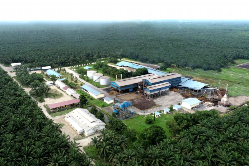 Produksi CPO Cisadane Sawit Raya (CSRA) Tahun 2022 Ditargetkan Naik 10%
