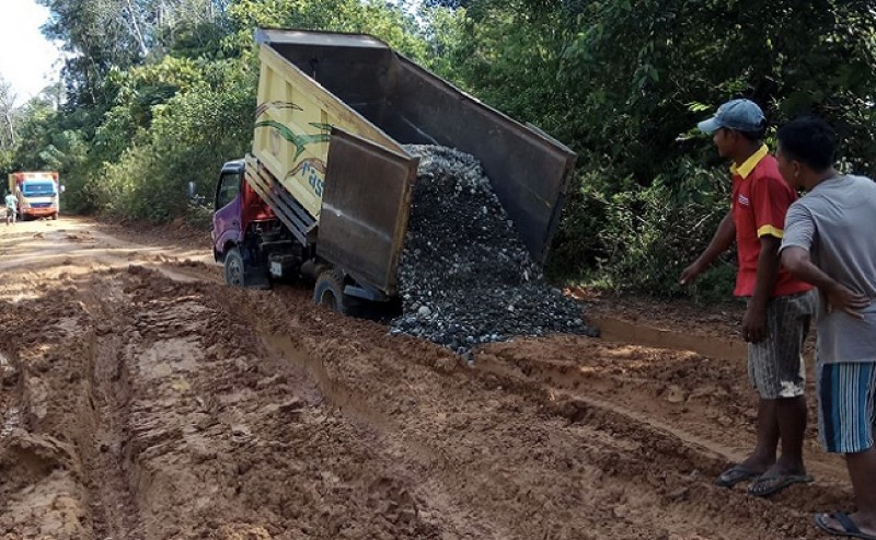 Cisadane Sawit Raya Did Pile with Lethal in Dusun IV, Beringin Makmur II
